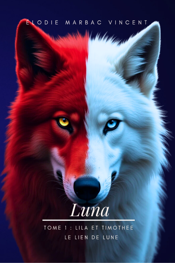 Saga Luna tome 1 Lila et Timothée Le Lien de lune